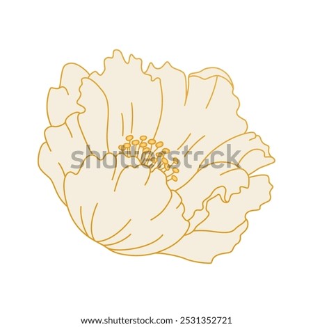 Single peony flower isolated. Delicate white bloom with golden outline. Vector illustration. Asian Chinese design element for card or logo sign. Vintage floral symbol.