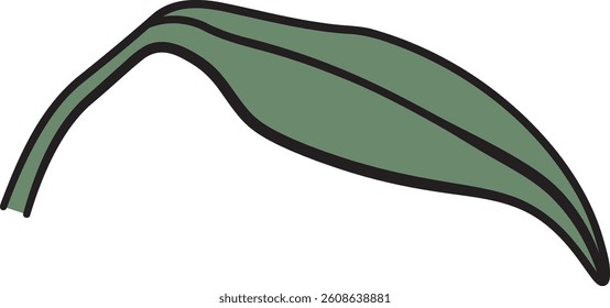 A single peony leaf with bold outlines and smooth curves. The leaf is depicted in a minimalist style with clean lines and a simple form. Cartoon vector illustration.