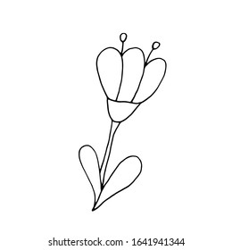 Single phantasy flower icon . Botanical element for invitation, wedding greeting cards, logo. Herbs. Hand drawn vector floral illustration in doodle style outline drawing isolated on white background