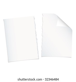 Single Piece Of White Paper Torn In Half With Shadow