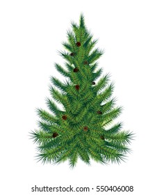 Single pine tree, isolated on white background. Vector illustration. High quality