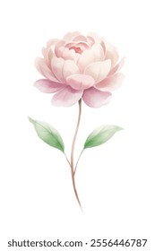 A single pink flower with green leaves. The flower is the main focus of the image. The image has a serene and calming mood