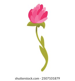 Single pink flower with a green stem blooming elegantly on a white background
