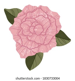 Single pink rose in flat cartoon style. Isolated on white. Top down view. Pink rose flower botanical concept of love. For web, stickers, banners or print.
