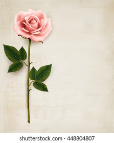 Single pink rose on an old paper background. Vector.