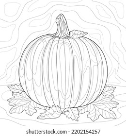 Single pumpkin with leaves on a white isolated background.  Autumn, Hallowen, Thanksgiving day. For coloring book pages.