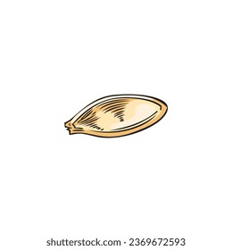 Single pumpkin seed hand drawn vector illustration on white background. Squash kernel colorful sketch drawing. Healthy food element.