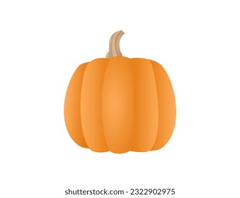 Single pumpkin vector on white background