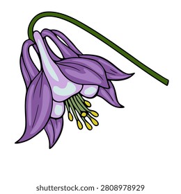 Single purple columbine flower vector illustration with elegant curved stem and detailed stamen