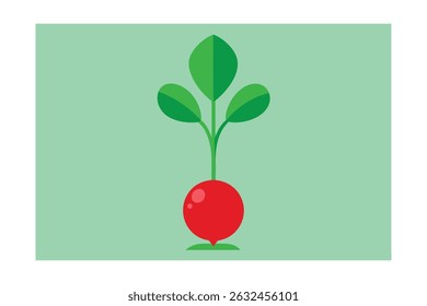 Single Radish Plant with Red Bulb