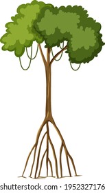 Single rainforest tree with big roots isolated on white background illustration