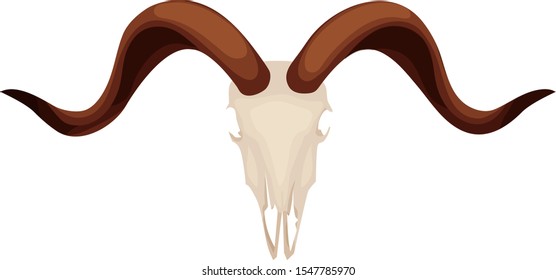 Single ram goat skull isolated on a white background. Vector illustration.