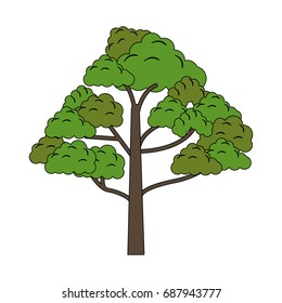 single realistic tree icon image 