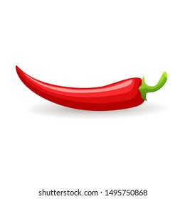 Single red chili pepper on white background, bitter spicy hot, vector illustration