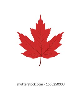 single red maple leaf vector illustration design template