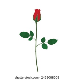 Single red rose bud flat vector isolated on white background. Hand drawn illustration