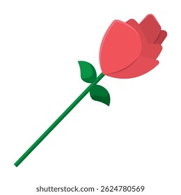 Single red rose flower. Vector illustration