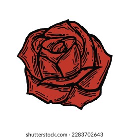 Vector de iluminación de una rosa roja única