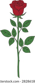 Single Red Rose Long Stem Leaf Flower Romance Vector Icon
