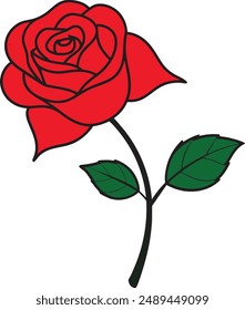 A single red rose on a white background with green leaf