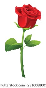 Single red rose vector illustration isolated on white background