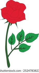 single red rose vector isolated on white