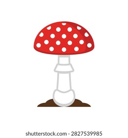 A single red toadstool mushroom stands on brown soil