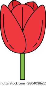 Single Red Tulip Blossom With Elegant Green Stem Standing Alone Against a Pure Minimalist White Background