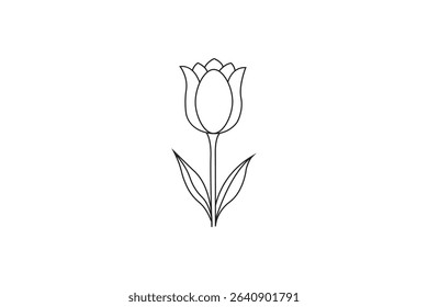 single red tulip flower with blooming petals perfect for wedding decoration or spring celebration