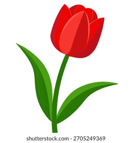 Einzige rote Tulpenblume. Geschenk zum Geburtstag, Valentinstag, Muttertag, Frauentag, Hochzeit. Vektorgrafik einzeln auf weißem Hintergrund	