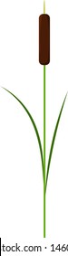 Single reed stem plant vector isolated on white background