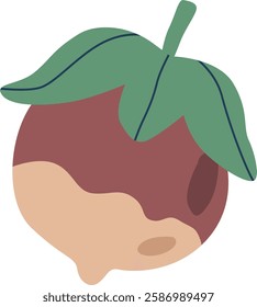 Single ripe hazelnut vector illustration