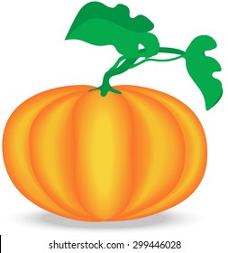 Single Ripe Pumpkin Fruit with Foliage, Isolated