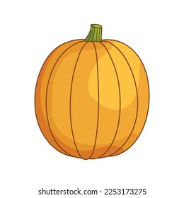 Single ripe pumpkin isolated on white background. Autumn food and vegetable concept. Flat cartoon illustration. Clipart element for design for Thanksgiving, Halloween, Harvest Festival