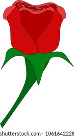 single rose flower