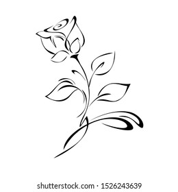 single rose flower on a stem with leaves and curls in black lines on a white background