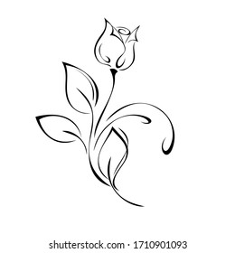 single rose flower on a stem with leaves and curls in black lines on a white background
