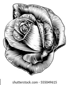 A single rose flower in a vintage retro engraved etching woodcut style