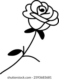 a single rose Hand drawn line art Paris Illustration