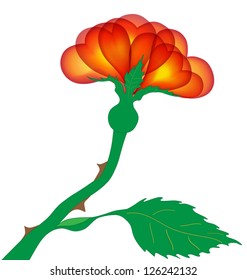 The single rose with the heart-shape petals like a symbol of love