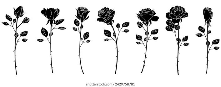 Single rose silhouette set, variation material, icon, vector