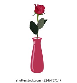 Single rose in vase, vector illustration isolated on white background.