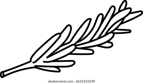 A single rosemary sprig drawn in bold black lines on a white background. The herb is depicted with elongated leaves in a clean and clear style. Cartoon vector illustration.