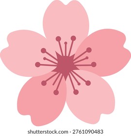 Single Sakura Cherry Blossom Front View Japanese Flower Vector Illustration