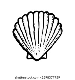 Single seashell, marine line hand drawn vector illustration on white background. Scallop, minimalist seashell graphic design.