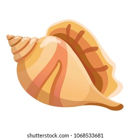 Single shell icon. Cartoon illustration of single shell vector icon for web