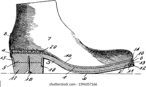 Los zapatos únicos protegen el pie humano y el dibujo o ilustración posterior de la línea vintage.