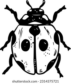 Single sketch style ladybug illustration black lineart isolated on white background