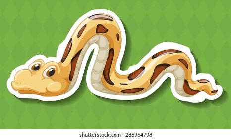 Single snake crawling on the ground
