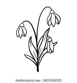 Single snowdrop clipart isolated on white. Black line drawing sketch in doodle style. Vector picture for spring flowers and springtime illustration, floral  and nature design, print and engraving.